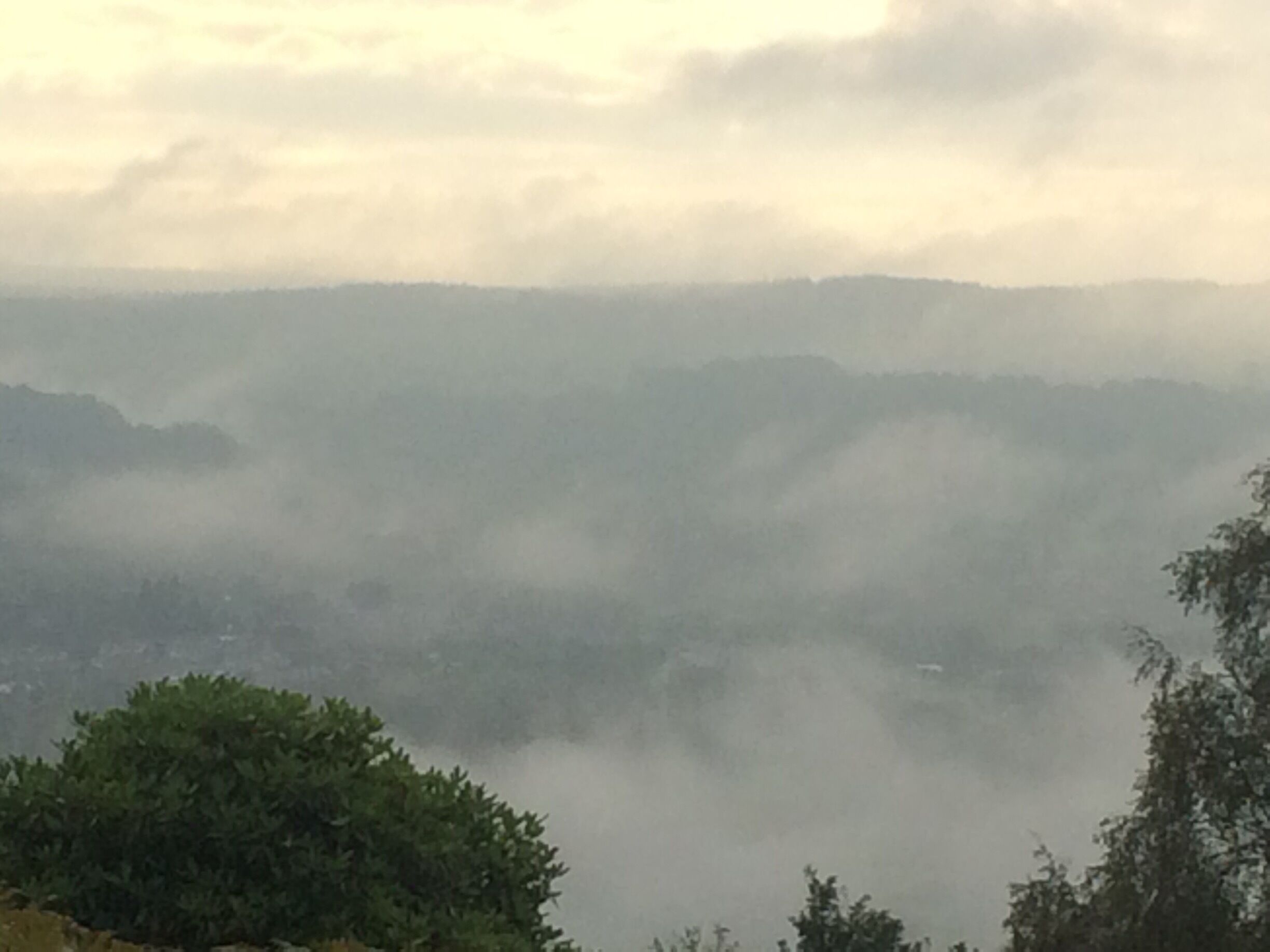 A misty mountain landscape with dense forests.