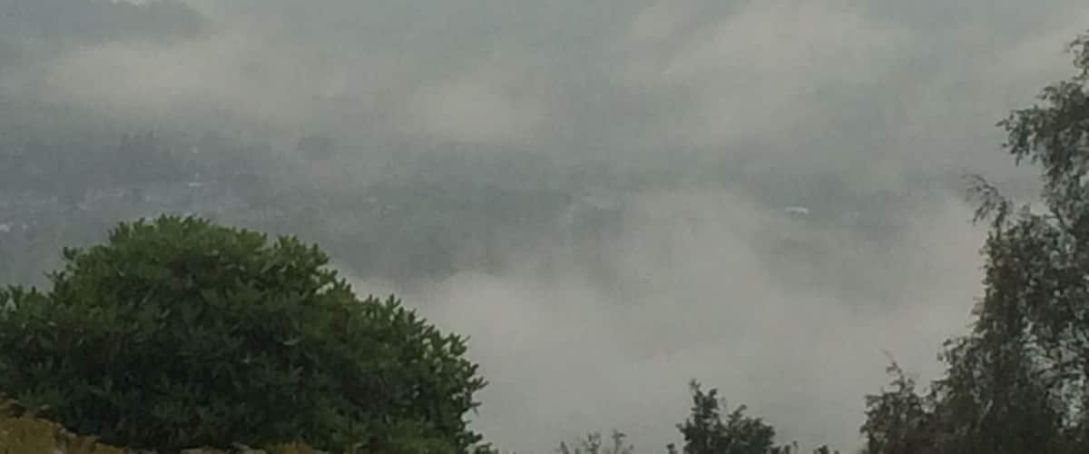 A misty mountain landscape with dense forests.