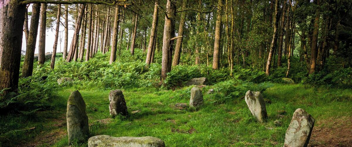 Doll Tor stone circle, near Birchover in Derbyshire