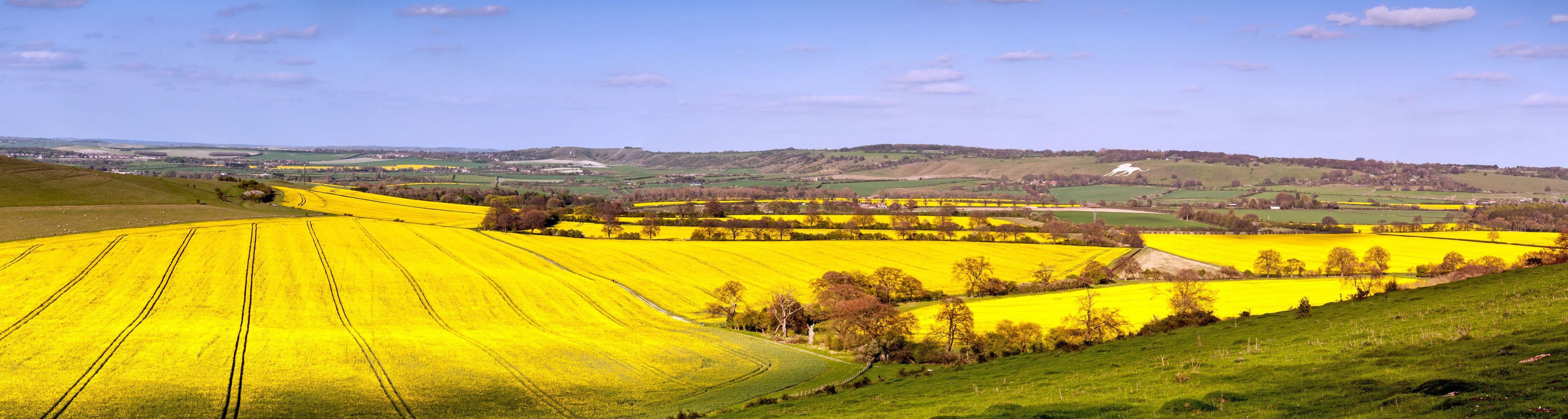 Rolling hills with fields of yellow flowers, a distant village, and a clear blue sky.