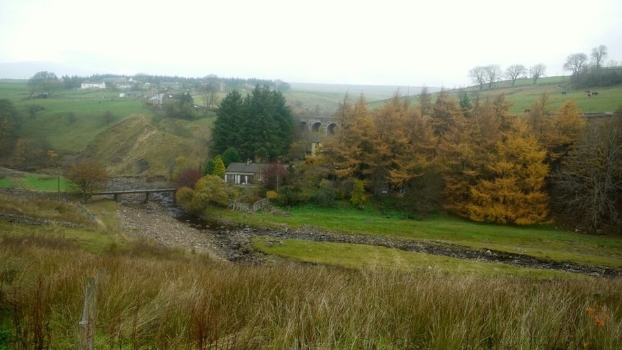 Valley at Heatherycleugh. Heathery Bridge over the Killhope Burn can be seen below 213081 while up above, three of the five arches of the Heatherycleugh road bridge 1506750 are visible in the trees. The village of Lanehead is above to the left.