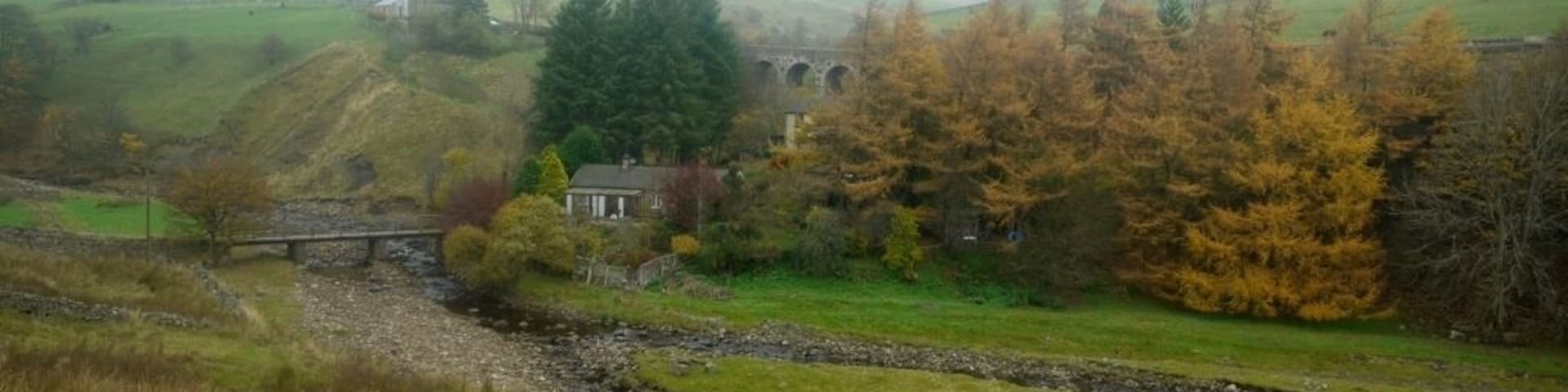 Valley at Heatherycleugh. Heathery Bridge over the Killhope Burn can be seen below 213081 while up above, three of the five arches of the Heatherycleugh road bridge 1506750 are visible in the trees. The village of Lanehead is above to the left.