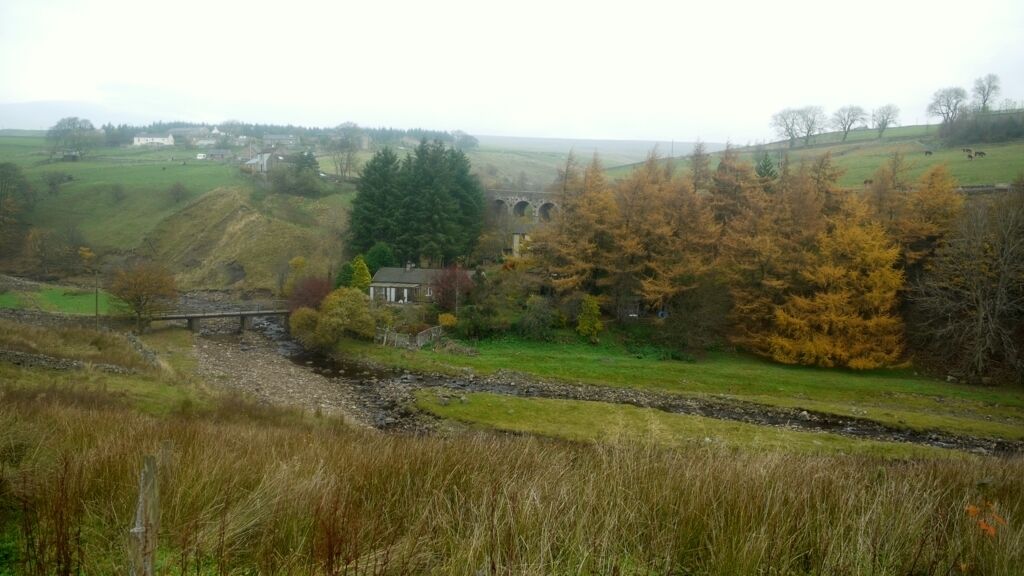 A rural landscape with a stone bridge, a large tree, and a distant building.
