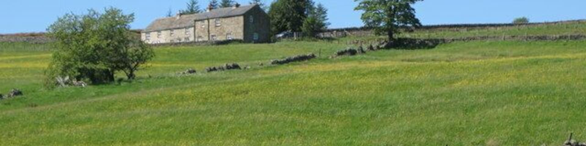 Pastures below The Highlands