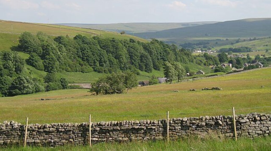 Hay meadows downstream of Cowshill Colourful fields above the Killhope Burn.