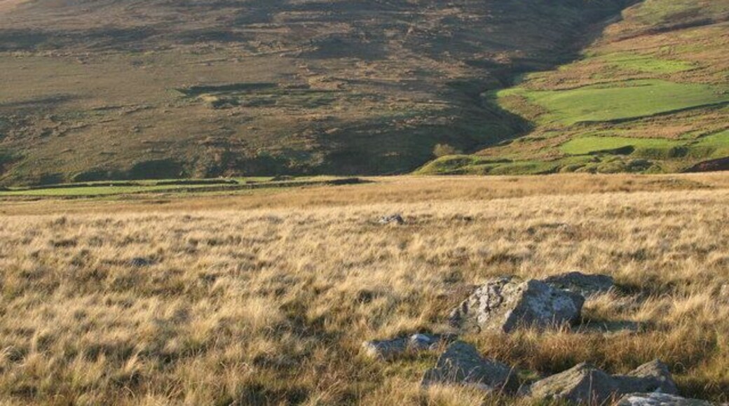 The valley of Bolt's Burn at Stogel Cleugh