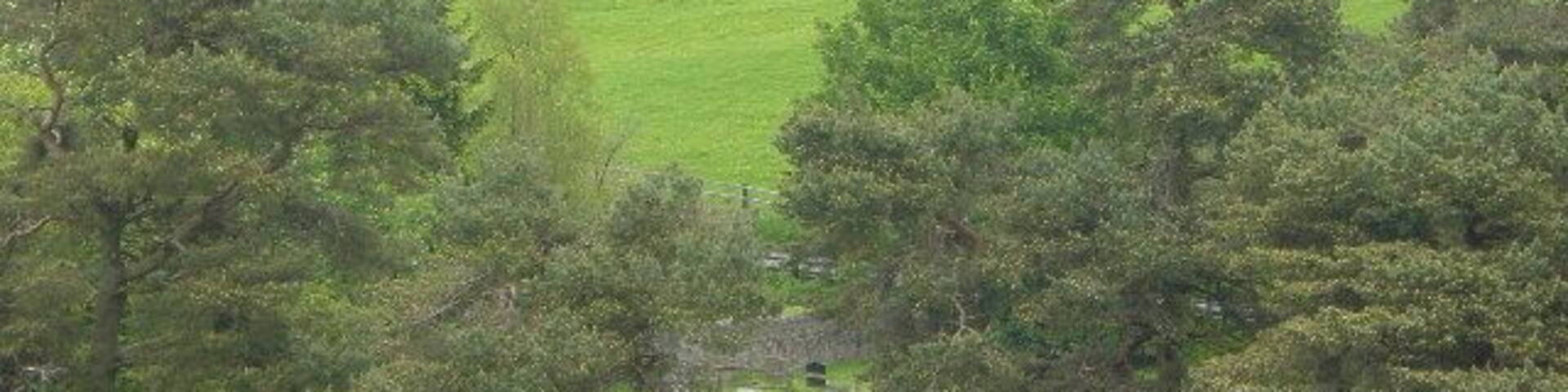 A stone church surrounded by green fields and trees.