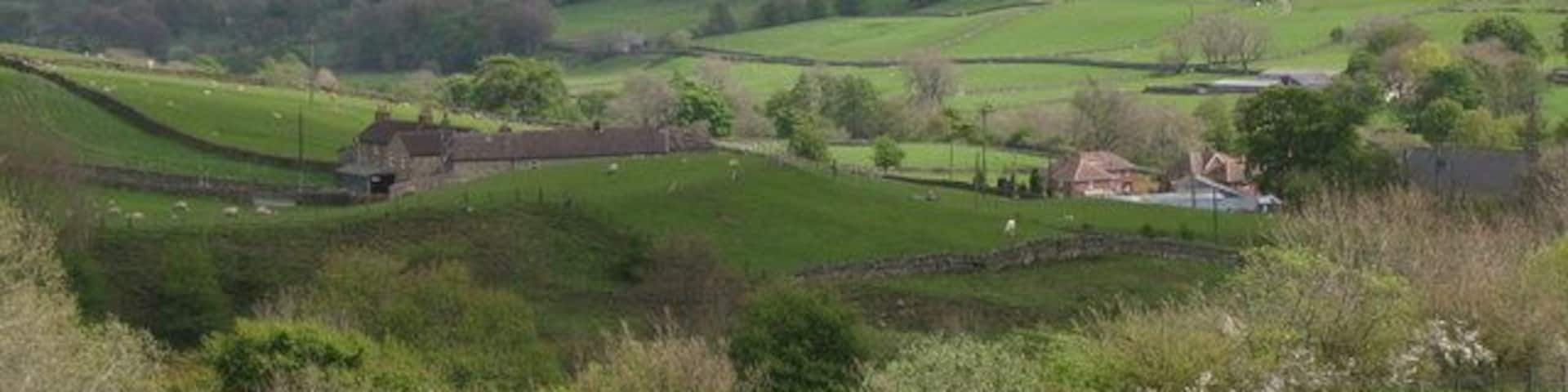 The valley of Middlehope Burn below Low Crooked Well Looking southeast across the valley towards Low House Farm.