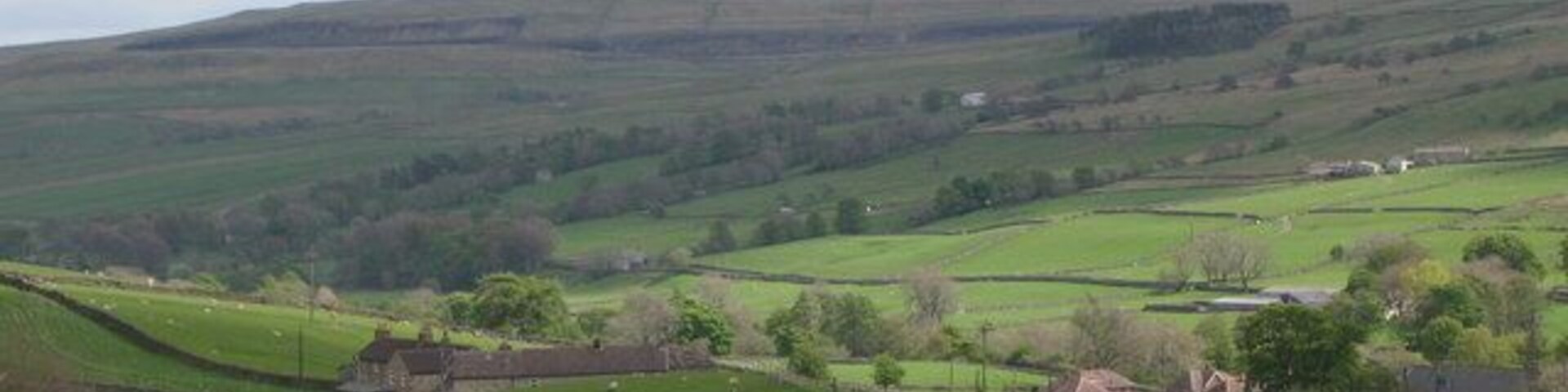 The valley of Middlehope Burn below Low Crooked Well Looking southeast across the valley towards Low House Farm.