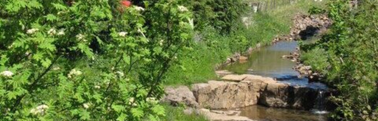Small waterfalls on Sedling Burn