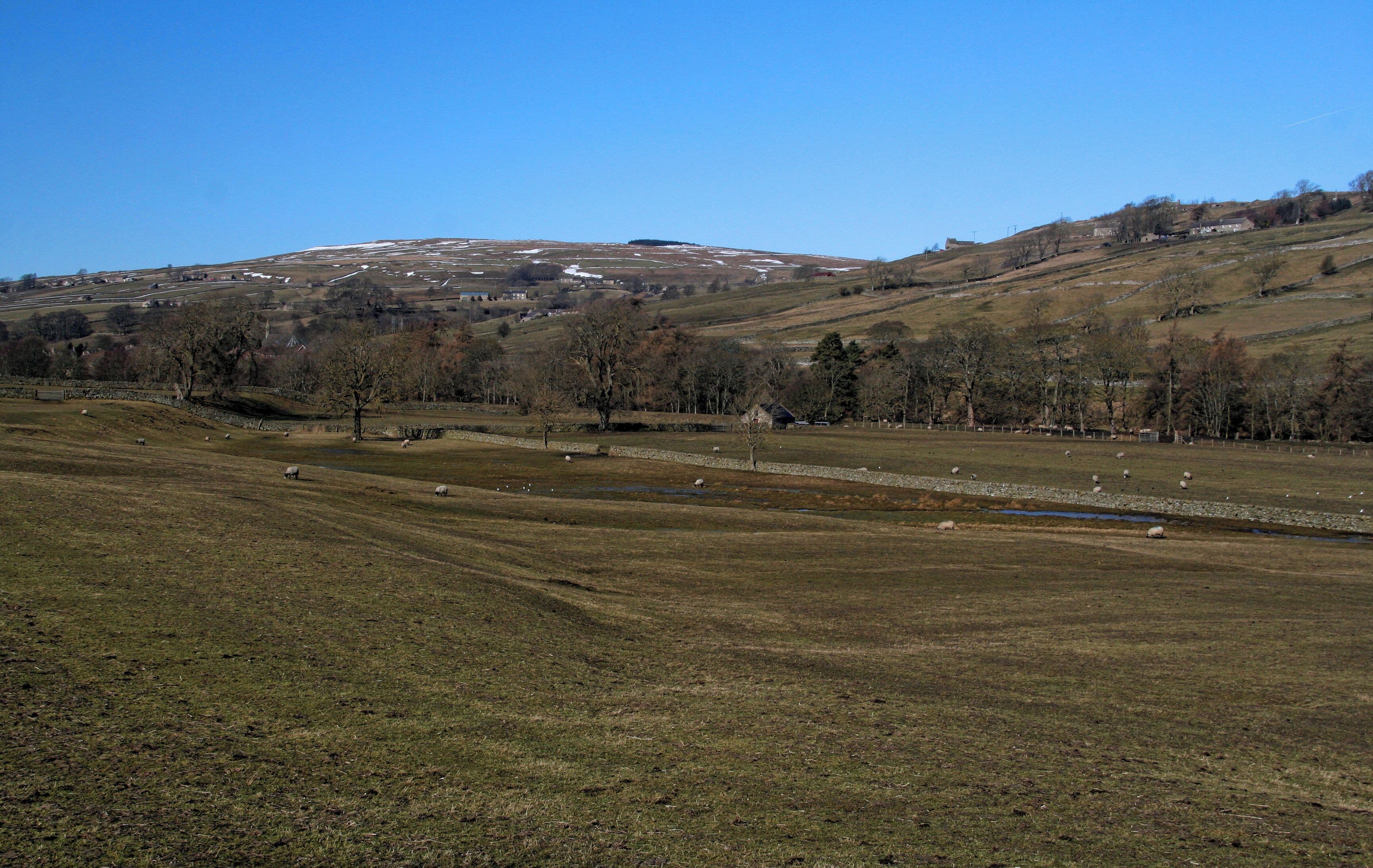 Haswicks Fields near Haswicks in Weardale.