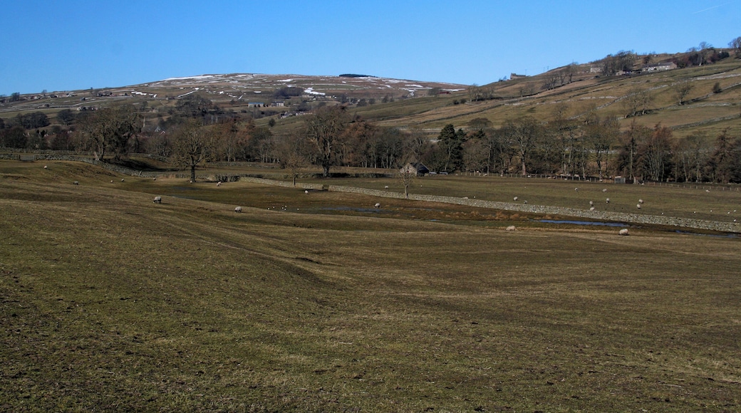 Haswicks Fields near Haswicks in Weardale.