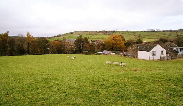 Haswicks field A stile with disconcertingly wobbly precast concrete steps leads from the south of the Westgate bridge into this field, from where footpaths diverge, one to follow the river right bank upstream, the other to cross the field up the hill. This view looks back on the latter from near the top of the field towards Westgate village. The buildings on the right are West Haswicks, a small group of houses, which, along with a similar sized group up the lane, East Haswicks, make up the hamlet of Haswicks on the south side of the River Wear.