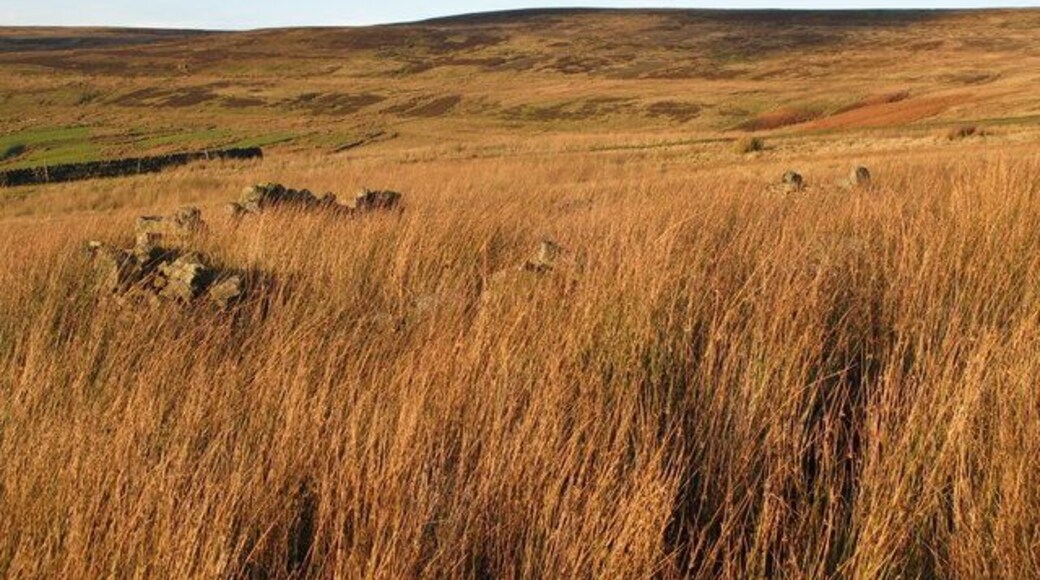 Sheepfold near the Boltslaw Incline (2). See also 1599987.