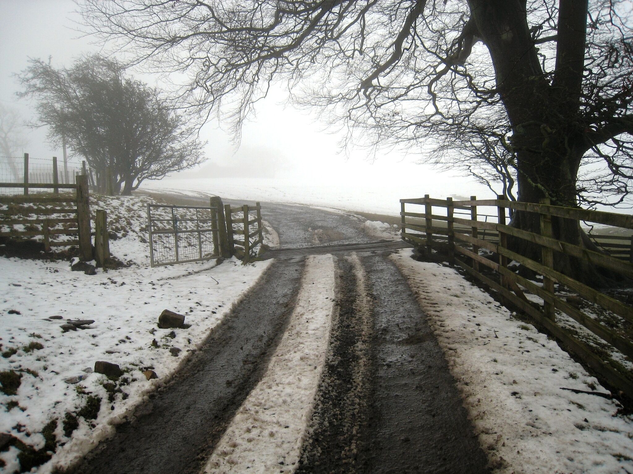 The Weardale Way just below West Biggins This photograph shows a view of a section of the route of the Weardale Way as it climbs up to West Biggins. The picture was taken on a misty day in late February looking in a south-westerly direction towards Harehope Gill.