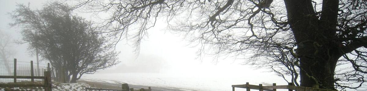Eine verschneite Landstraße mit Holzzäunen und Bäumen.