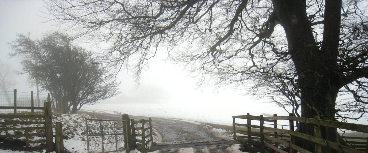 Een besneeuwde landweg met houten omheiningen en bomen.