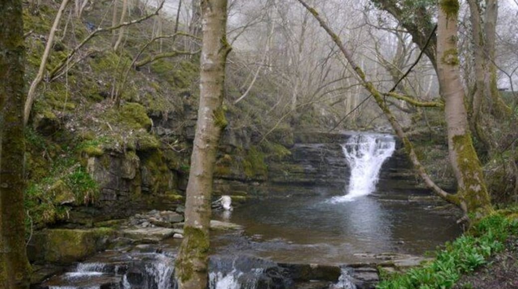 Waterfalls on the Middlehope Burn near High Mill, Westgate