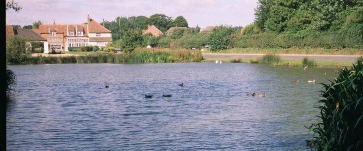 A calm lake with ducks, surrounded by greenery and a house in the background.