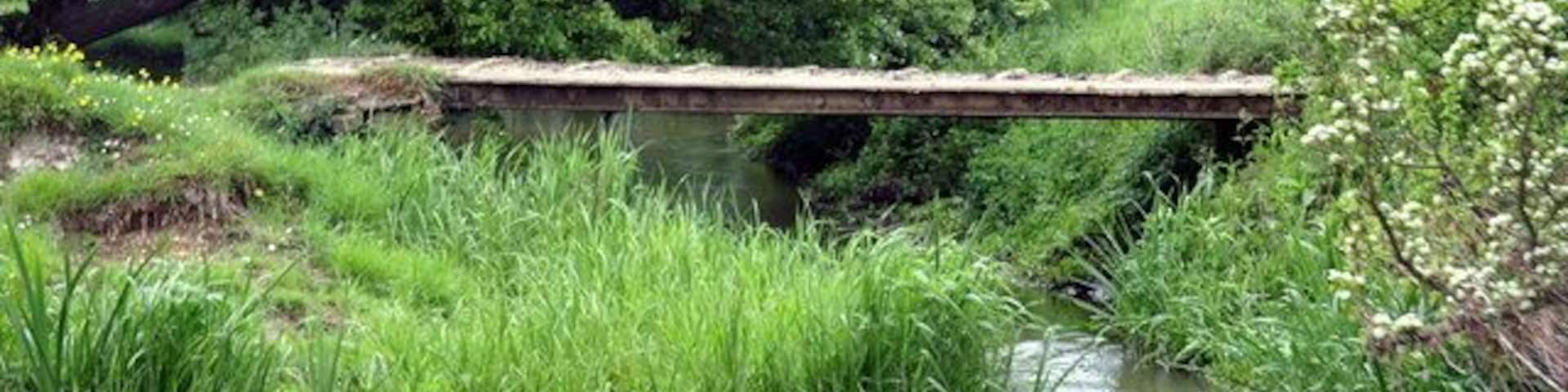 Un estrecho canal con un puente de madera, rodeado de exuberante vegetación y árboles.