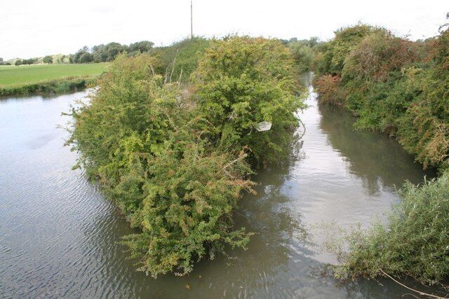 Joining of rivers. Point at which the River Windrush joins the River Thames at Newbridge. The Windrush is to the right 1465914.