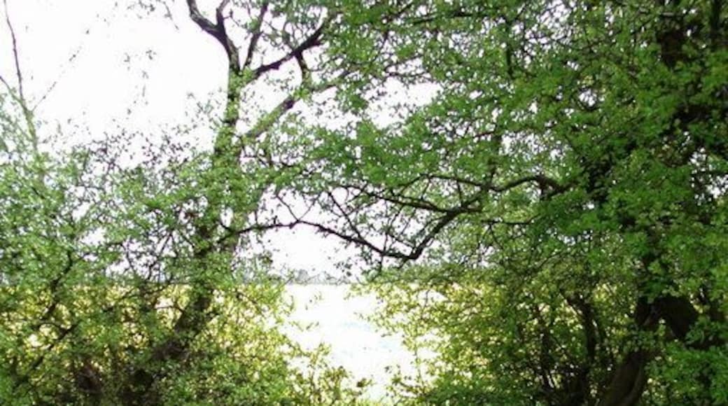 Oldfleet Drain Footbridge over Oldfleet Drain on the parish boundary between Stallingborough and Healing.