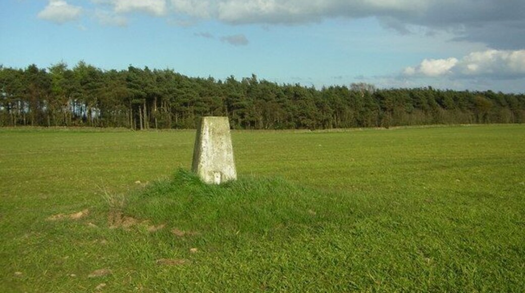 Cloughton Triangulation Pillar. OS Pillar S6323 in arable field near junction of A165 and unclassified road south to Gowland Farm.