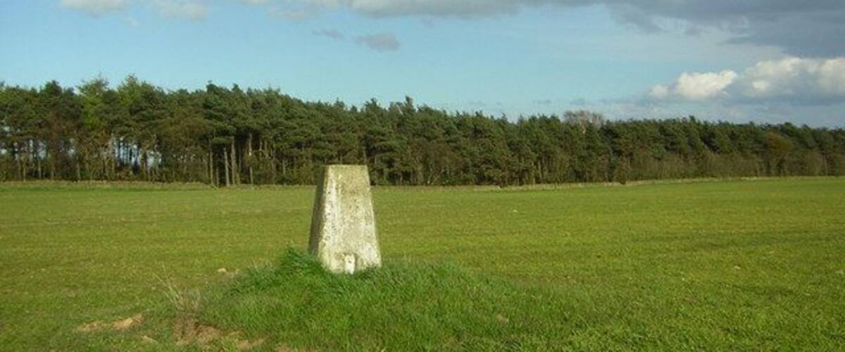 A grassy field with a stone monument in the center and a forest in the background.