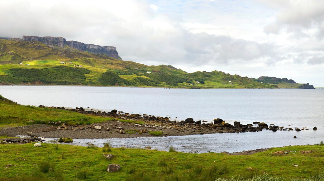 Staffin