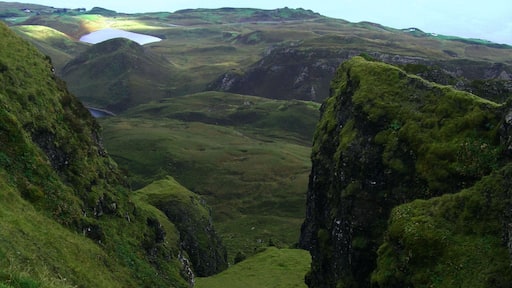 The Islands Still Flies