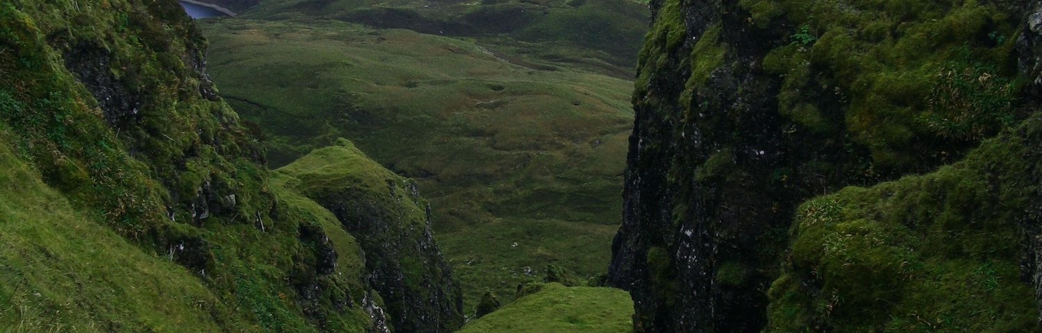 The Islands Still Flies