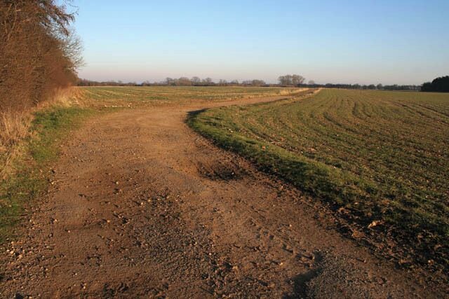 Farm track near Saltby Airfield This track leads to the north of Saltby airfield which is beyond the trees to the far right. The land here is over the Lincolnshire Limestone Formation and there are several limestone quarries, both operational and disused, in the area. Beneath the limestone is a bed of Northamptonshire ironstone which is near the surface in the lower terrain a few miles south west.