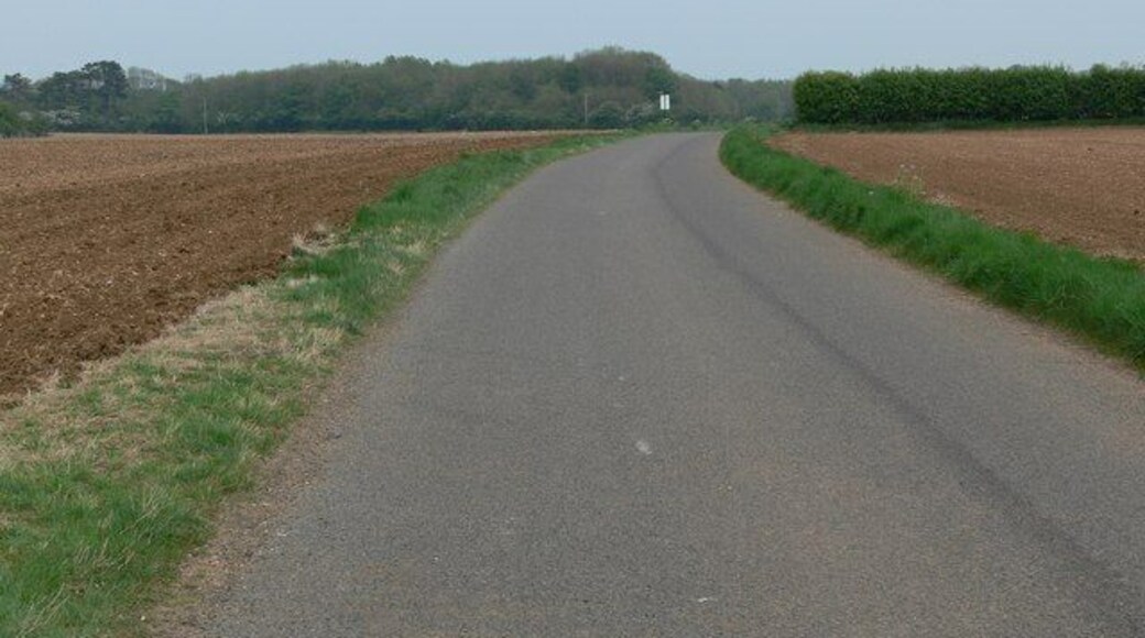 Road northeast of Saltby in Leicestershire The trees in the distance are Cooper's Plantation, which contain King Lud's Entrenchments. http://www.themodernantiquarian.com/site/2394/king_luds_entrenchments.html
