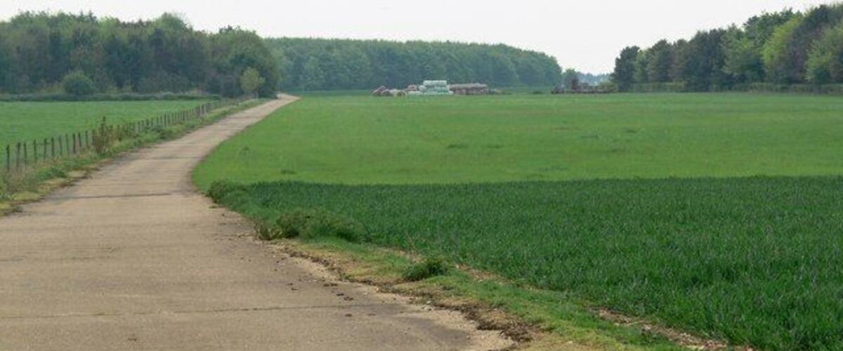 A rural road curving through green fields with a fence on one side and a building in the distance.