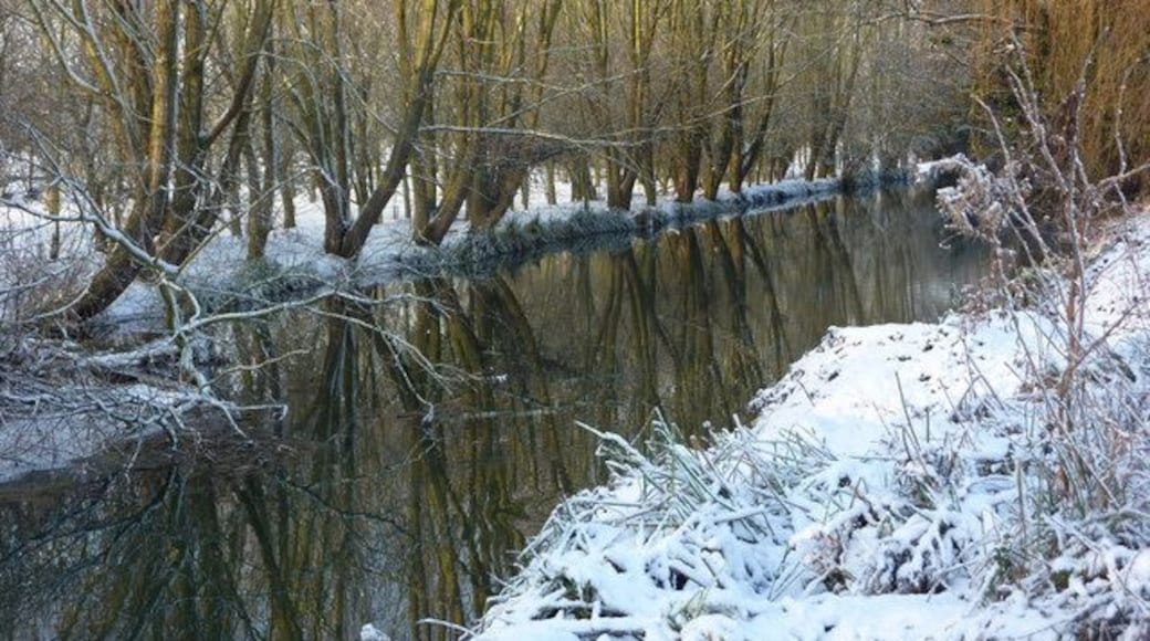 River Gipping north of Sproughton A tree lined section of the river on a snowy day with reflections.