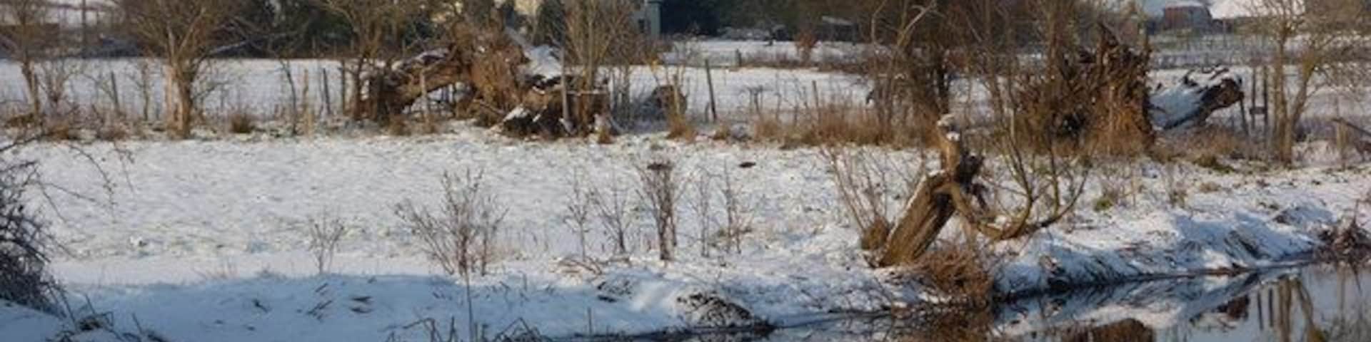 River Gipping Looking across the river on a crisp winter afternoon.