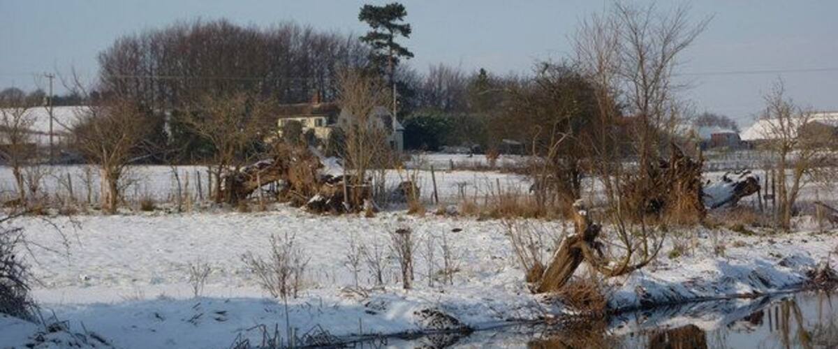 A snow-covered landscape with a frozen pond, bare trees, and a distant building.