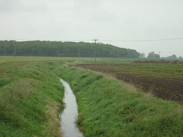 Tupholme Beck and Birch Wood near Southrey The beck would have served as the Great Drain to Tupholme Abbey, about 1 mile upstream.