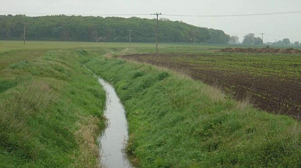 Tupholme Beck and Birch Wood near Southrey The beck would have served as the Great Drain to Tupholme Abbey, about 1 mile upstream.