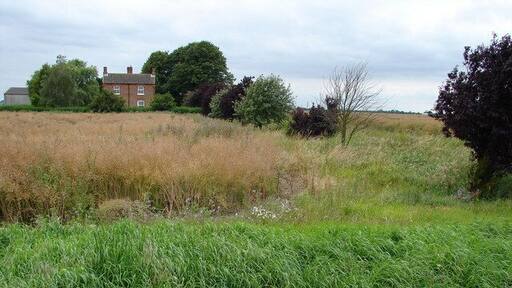 Looking towards Fenmore Farm from Cow Drove