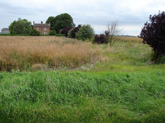 A rural landscape with a field, a house, and trees.
