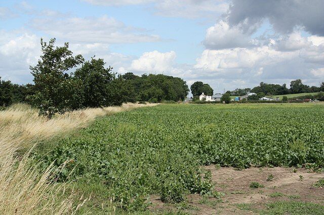 Hillside Farm View to Hillside Farm and Beacon Hill near Aubourn