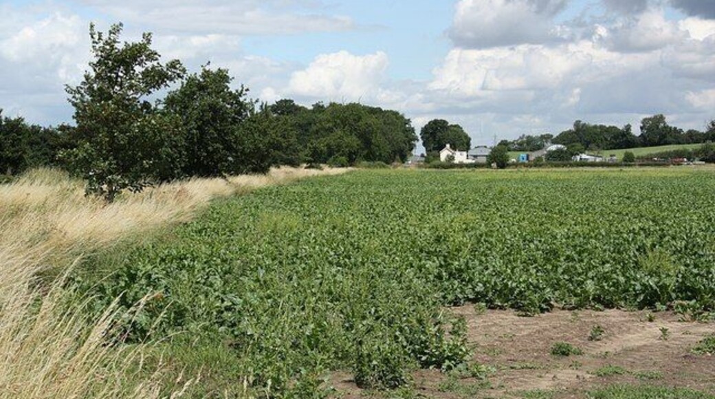 Hillside Farm View to Hillside Farm and Beacon Hill near Aubourn
