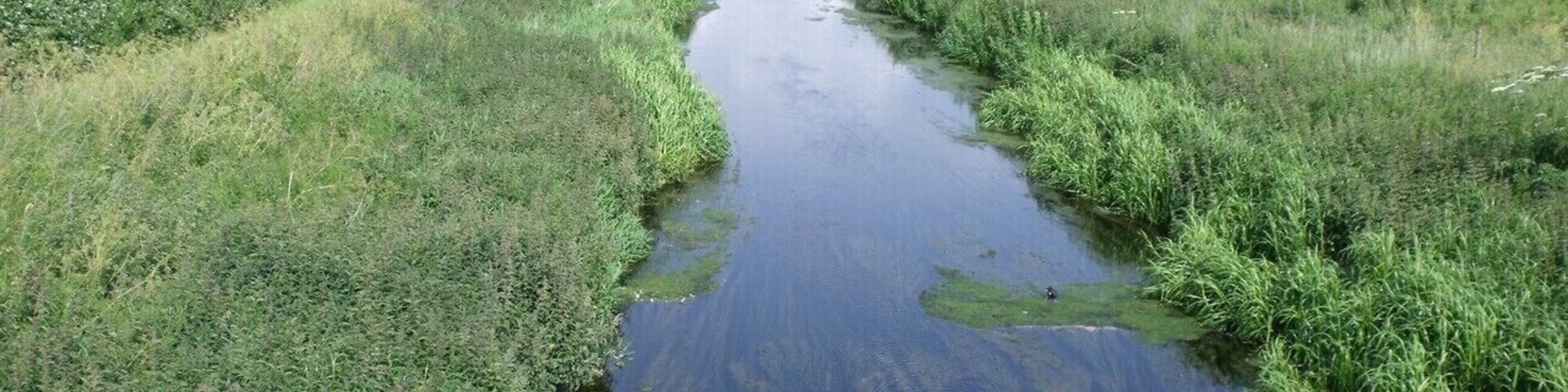 River Witham at Haddington