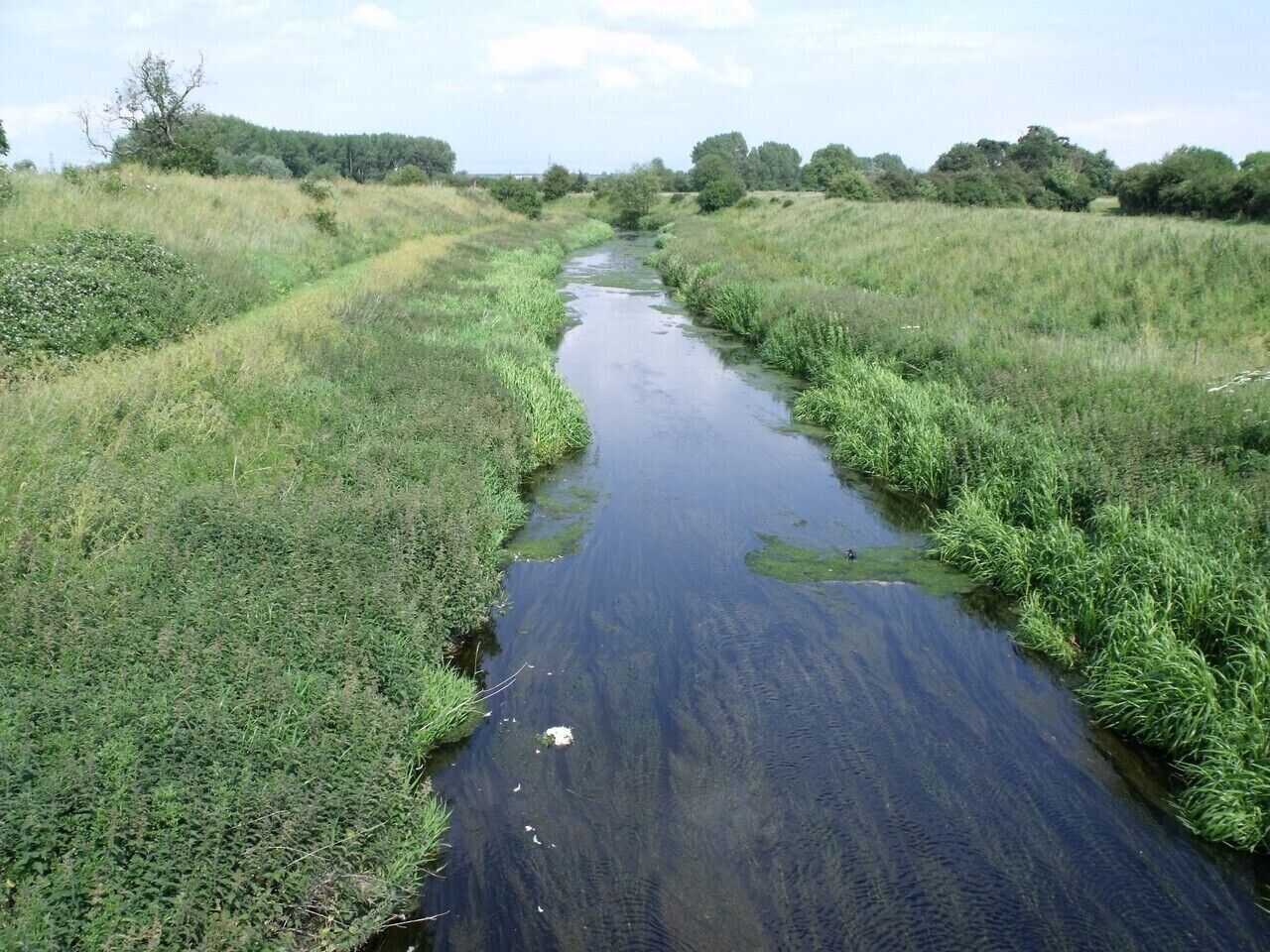 A narrow waterway flanked by grassy banks and trees under a clear sky.