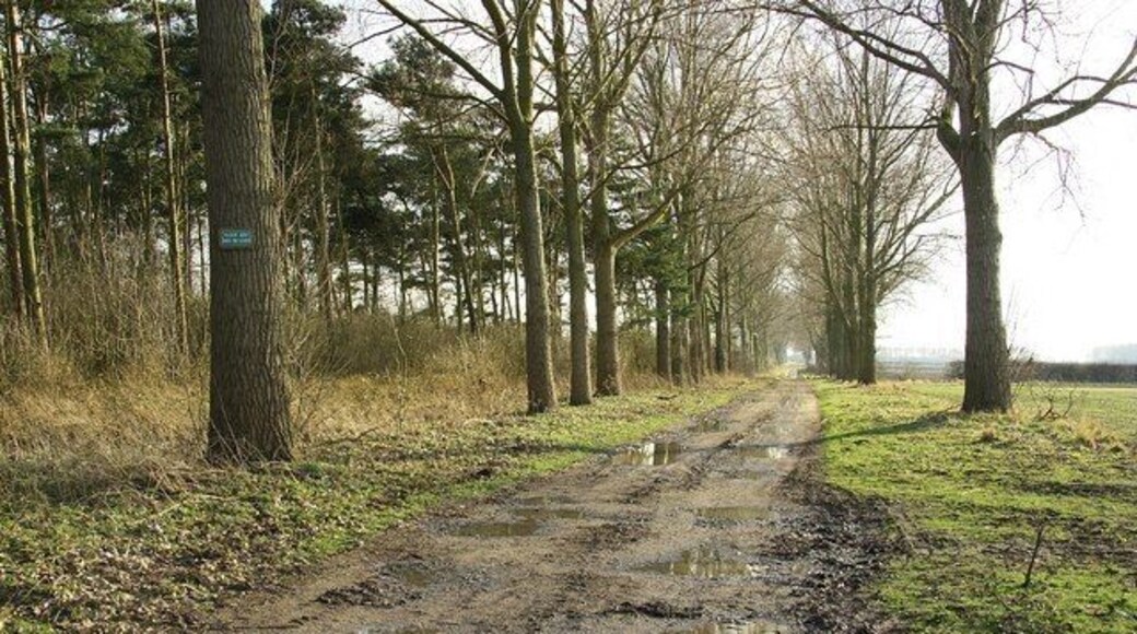 Aubourn Fen Lane from Blackmoor Road to Aubourn Fen