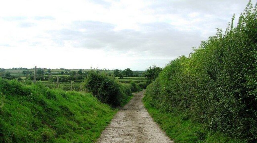 Musmoor Lane View just NW of Parsonage Farm NW down Musmoor Lane, a public footpath as well as the milking route for the dairy farm