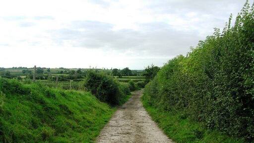 Musmoor Lane View just NW of Parsonage Farm NW down Musmoor Lane, a public footpath as well as the milking route for the dairy farm