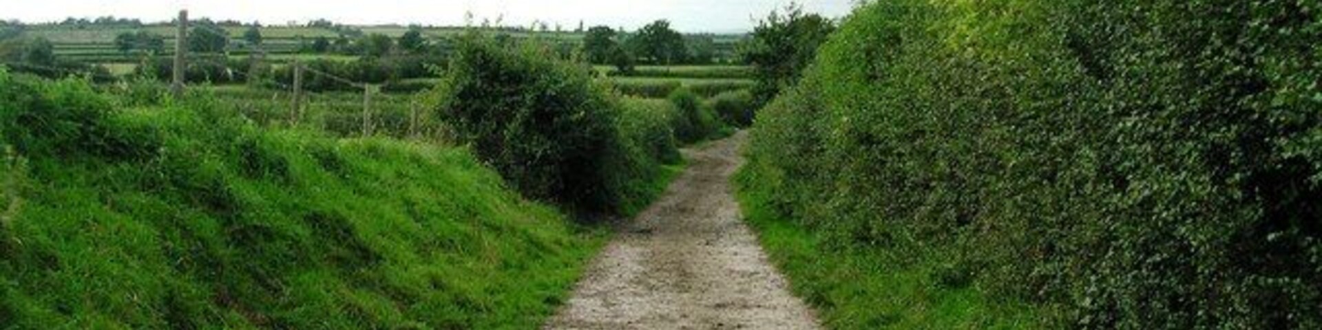 Musmoor Lane View just NW of Parsonage Farm NW down Musmoor Lane, a public footpath as well as the milking route for the dairy farm