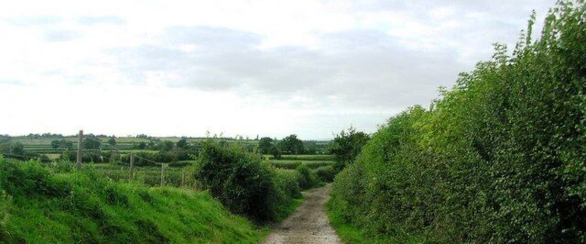 A rural dirt path flanked by green hedges and fields.